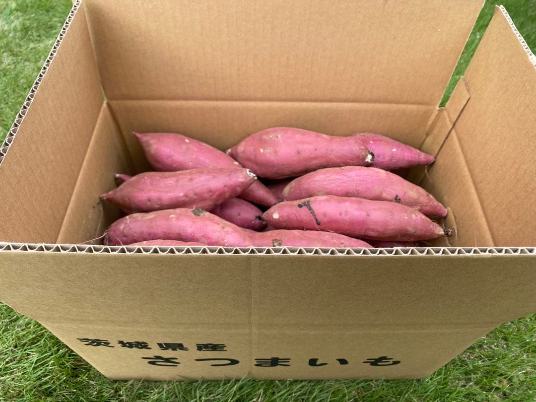 茨城県産紅はるかS150キロ　ボースケ品