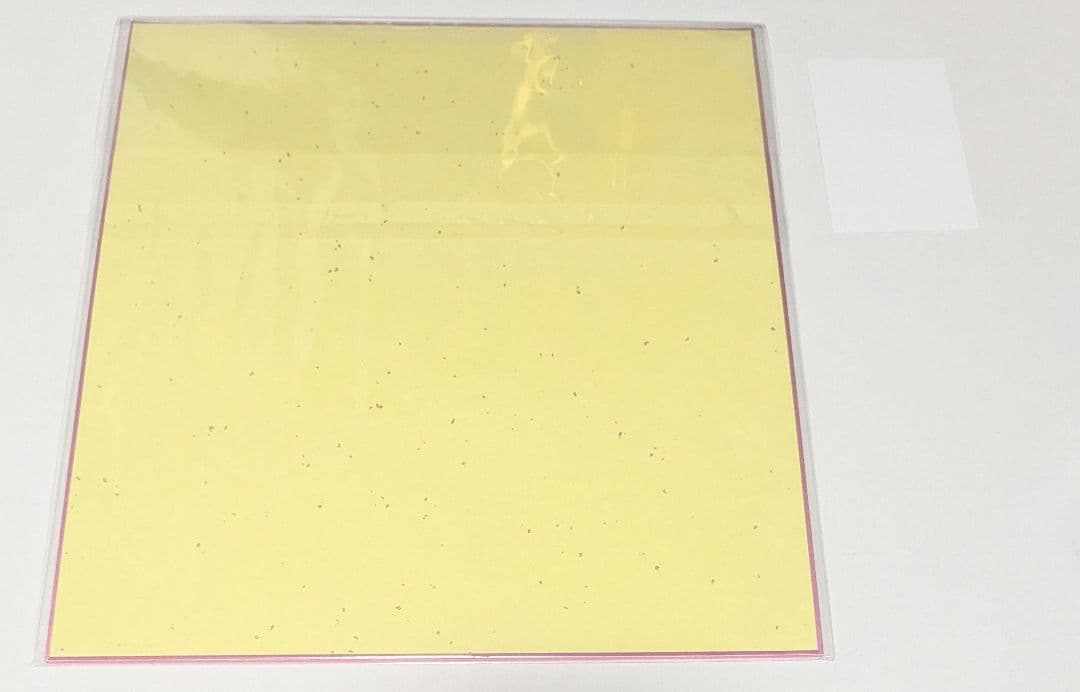 桃豆こまもち　らいらちゃん　色紙　チェキ