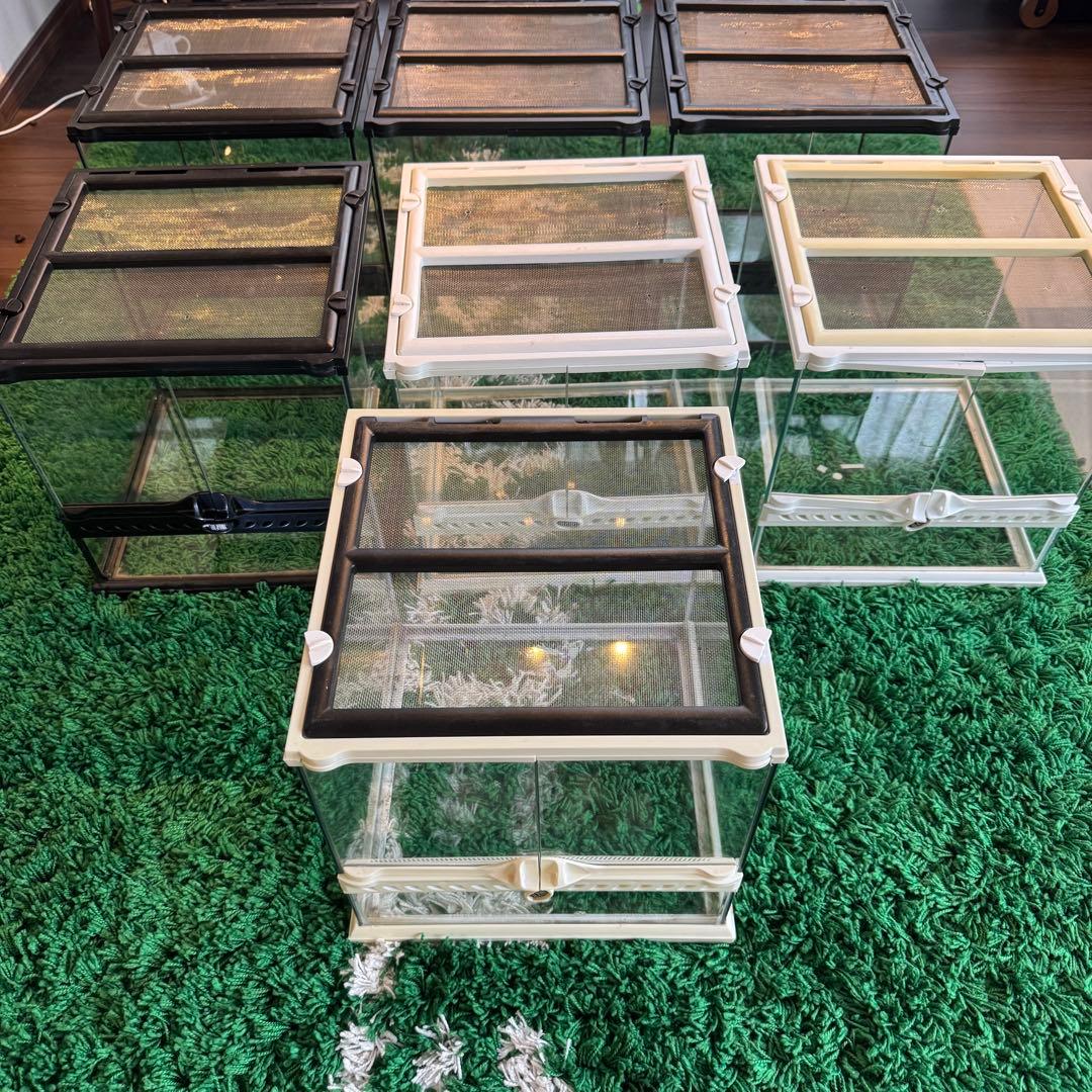 爬虫類飼育ケージ GEX 3030 テラリウム　7個セット