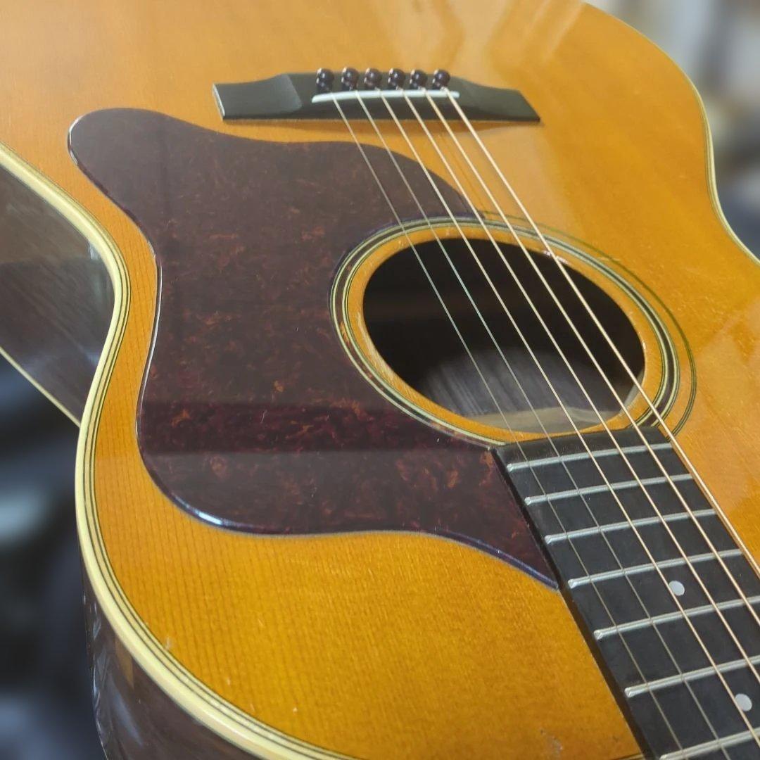 Stafford，希少！SAD-MC.オール単板、全ラッカー塗装