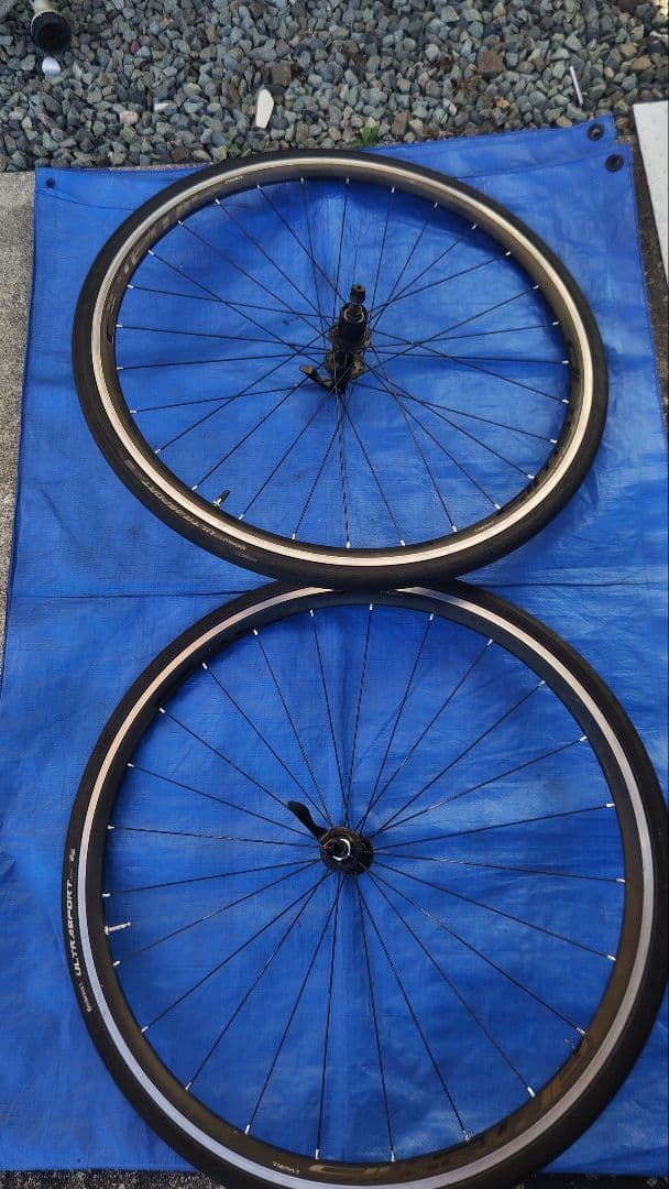 美品COLNAGO完組ホイール 11S互換 2本セット