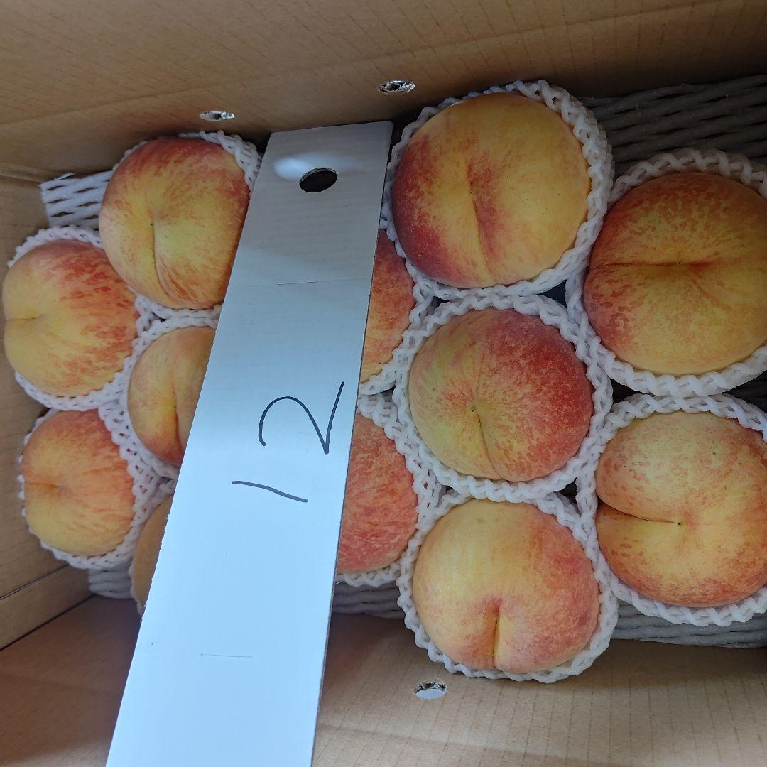 ２箱　超大玉　１２玉サイズ　５kg箱　山形県産　桃　黄貴妃　黄桃