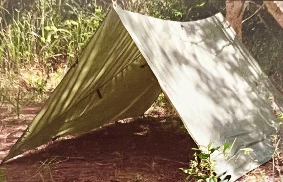 スナグパック　オールウェザーシェルター　オリーブ