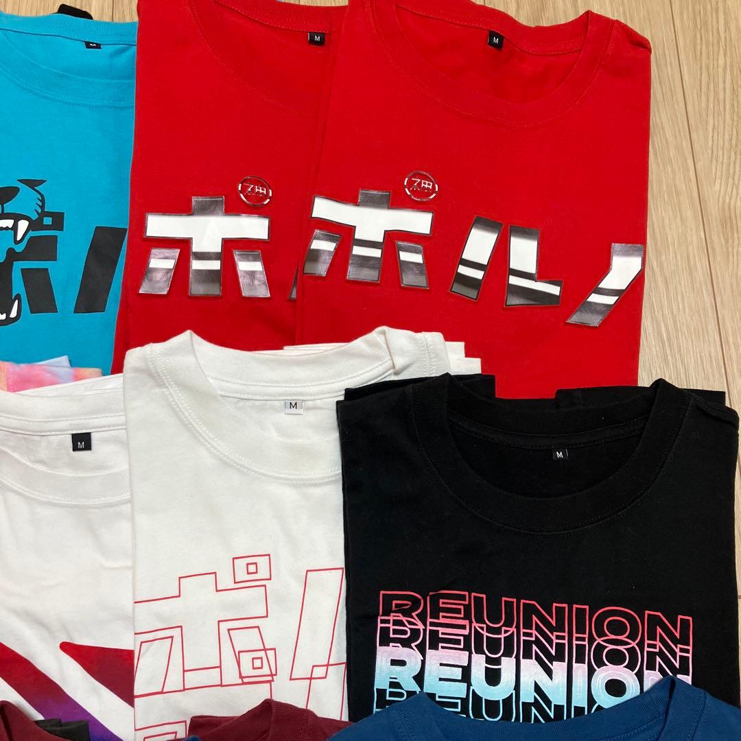 【期間限定値下げ】ポルノグラフィティ　Tシャツ16枚セット