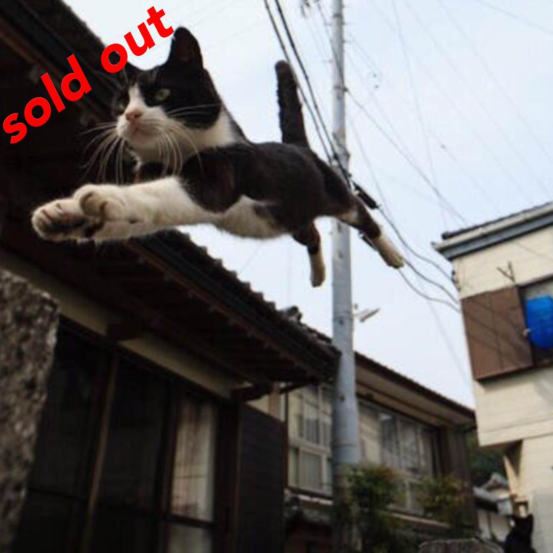 有難う御座いました(*^^*)