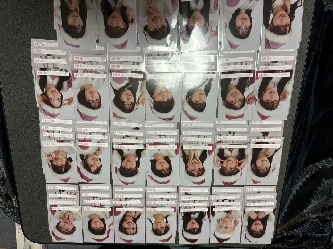 櫻坂　生写真 2024年　クリスマスサンタ衣装　コンプ