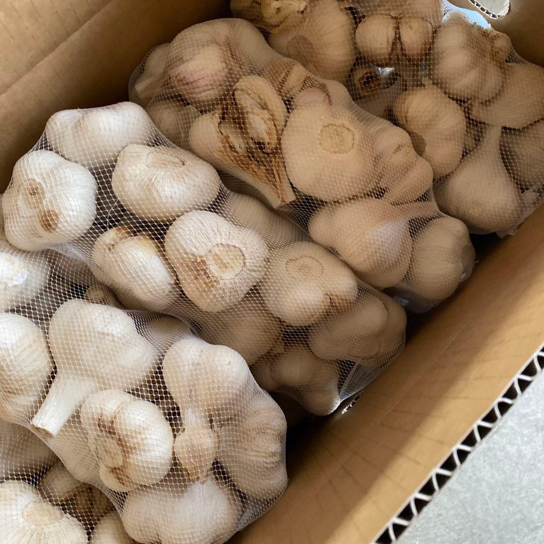 新物　青森県にんにく10Kg ＬＭ　タネ可能