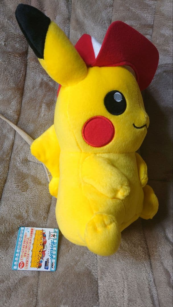 【紙タグ付き未使用】ぬいぐるみ　13種　まとめ売り　ポケットモンスター