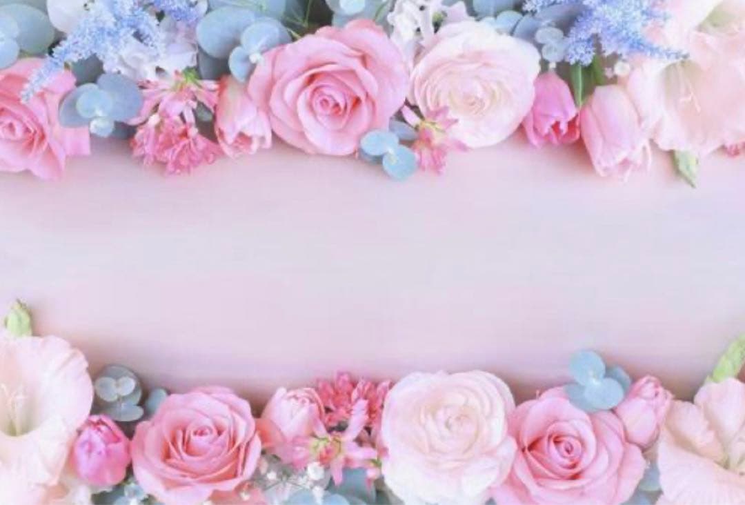 M1140.茶犁 猫咪抱枕 マスキングテープ 水晶PET