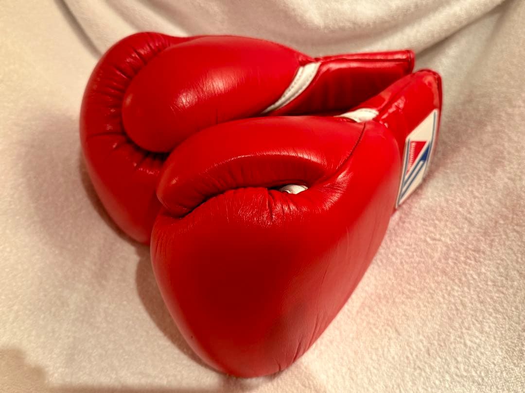 Winning ボクシンググローブ 8oz 赤　中古