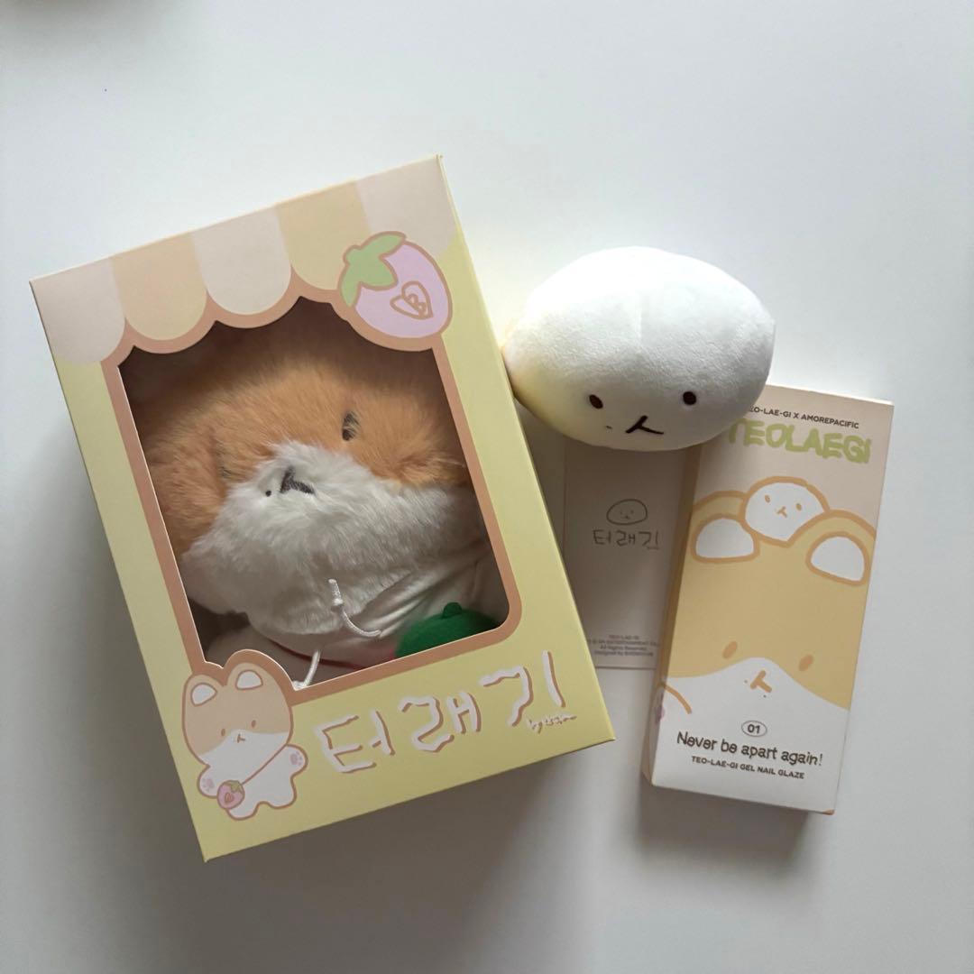 ベッキョン　トレギ4点セット