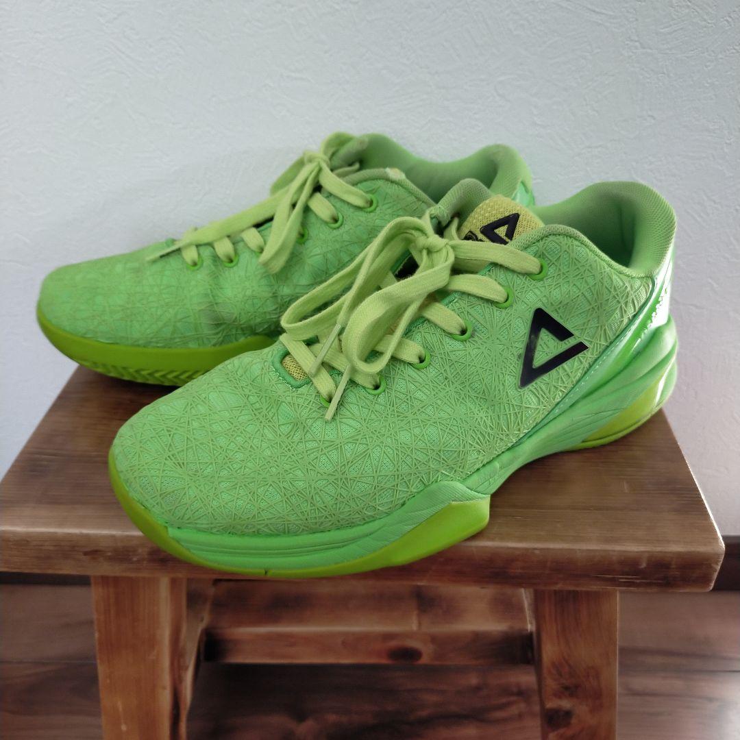 PEAK DELLY 1 ピーク　デリー1 US9 27cm