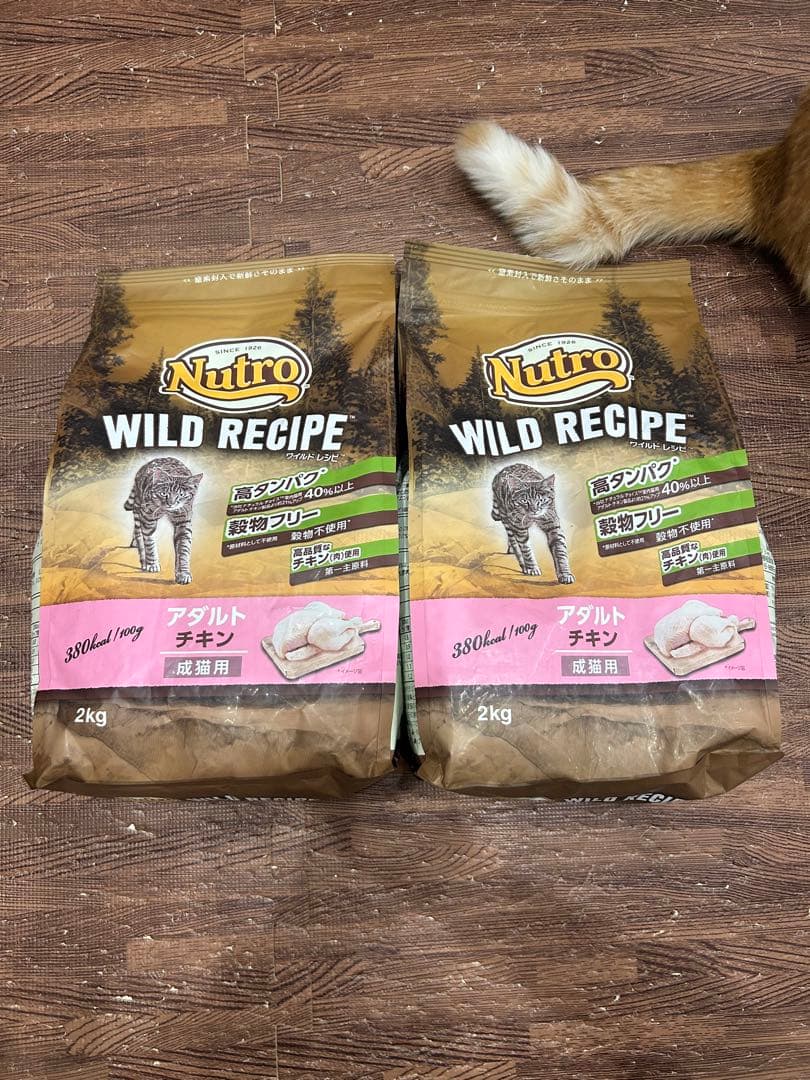 【2kg×2】ニュートロ ワイルドレシピ アダルトチキン