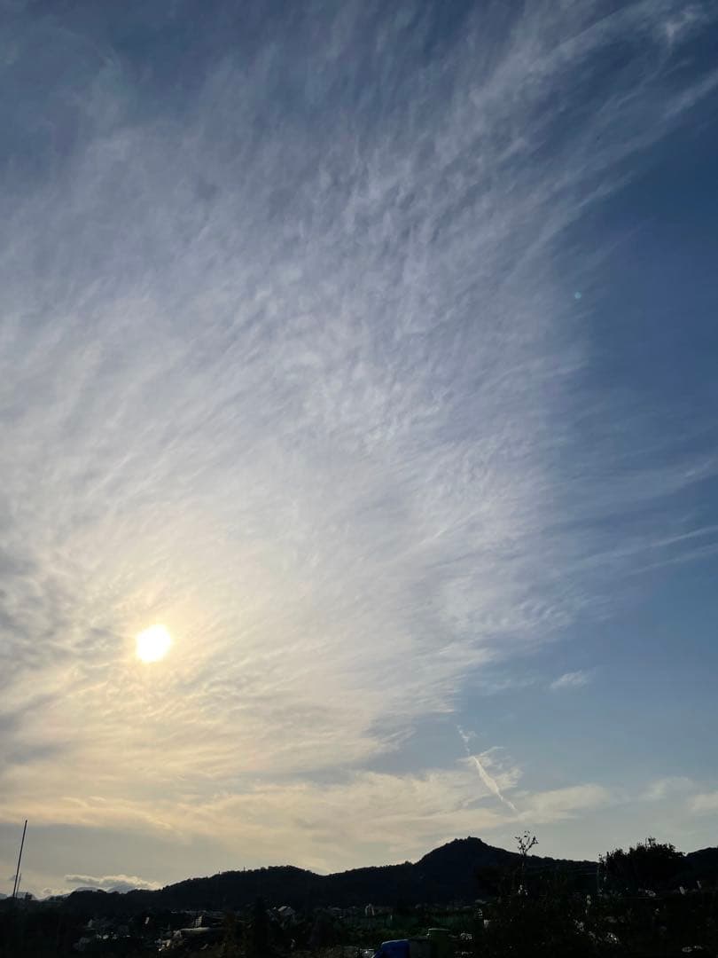 売れたら奇跡　　【写真】