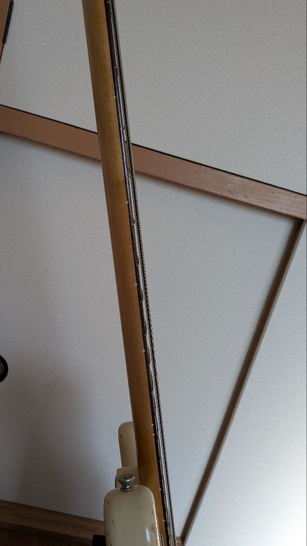 fullertone probaganda プレベ monoギグバッグ付き