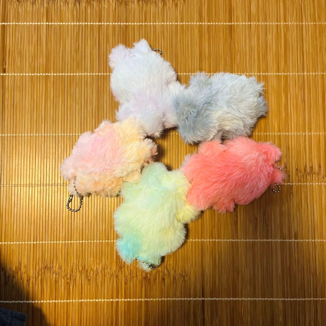 タクタクページ-5