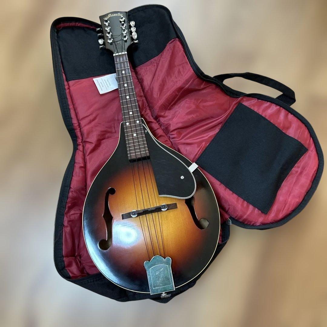 jumbo フラットマンドリン　ritterソフトケース付き　ウクレレ