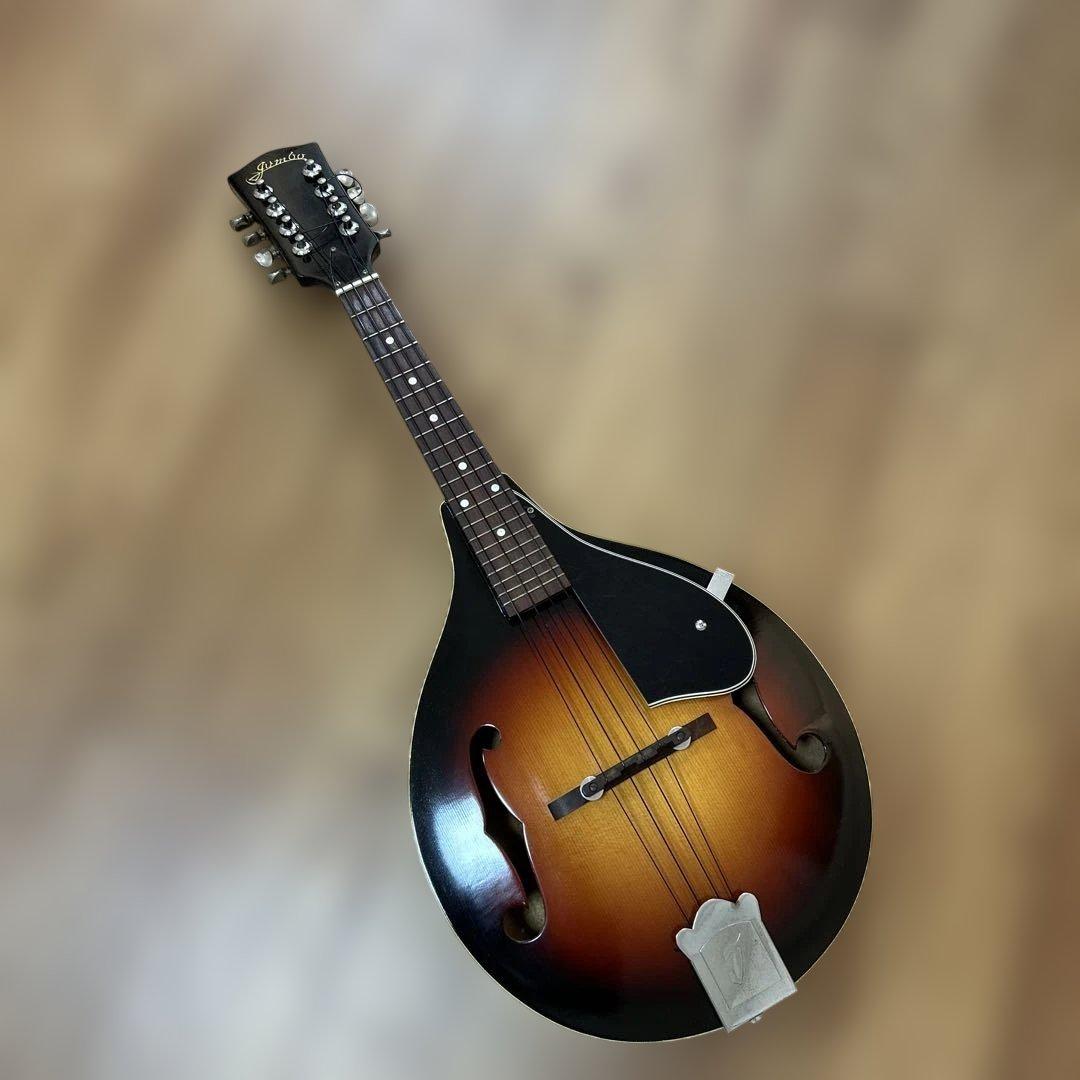 jumbo フラットマンドリン　ritterソフトケース付き　ウクレレ