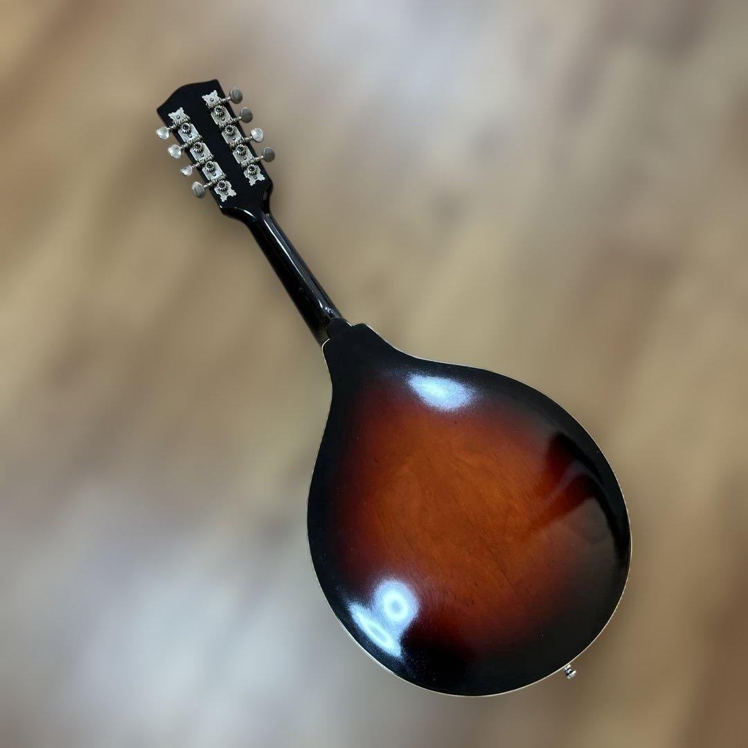 jumbo フラットマンドリン　ritterソフトケース付き　ウクレレ