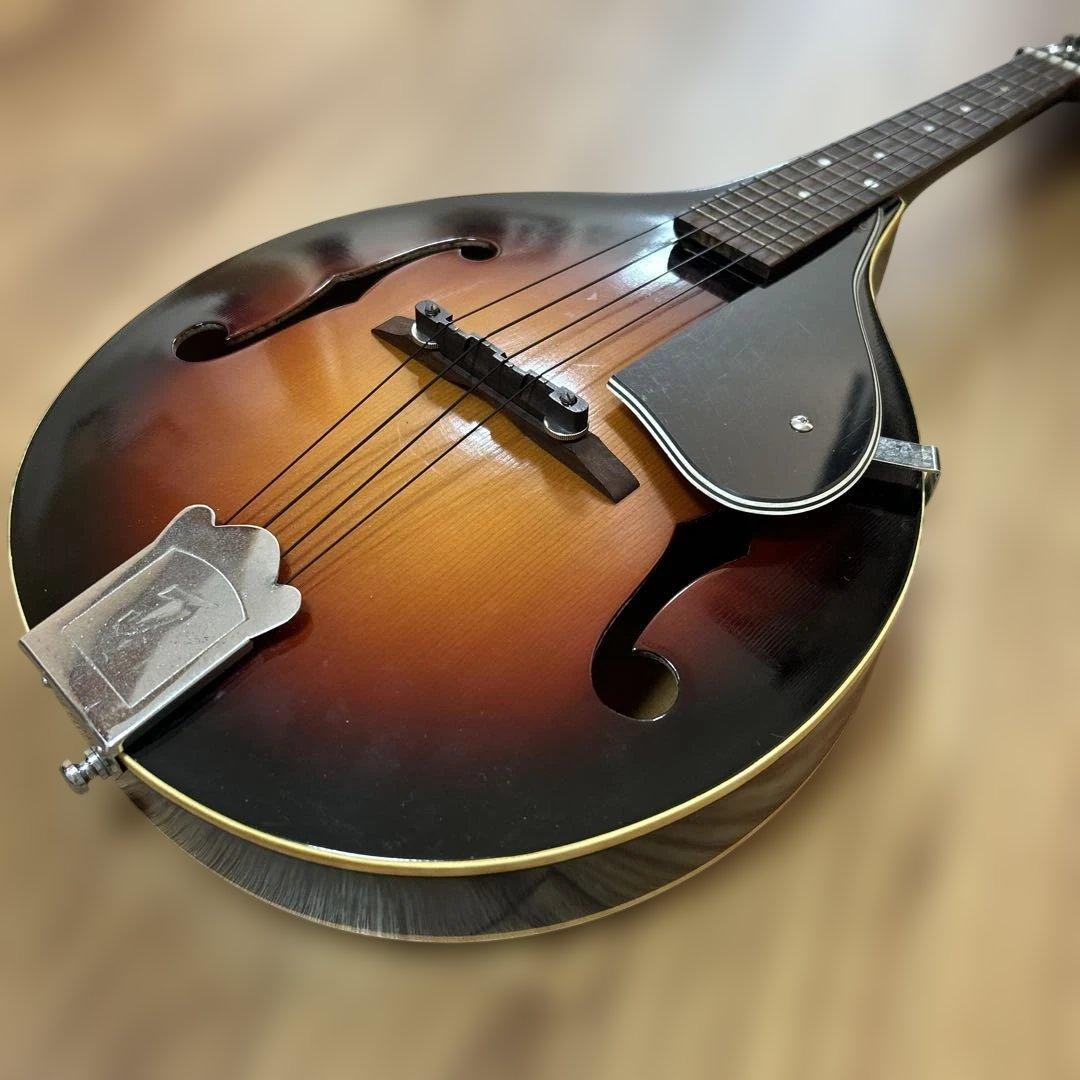 jumbo フラットマンドリン　ritterソフトケース付き　ウクレレ