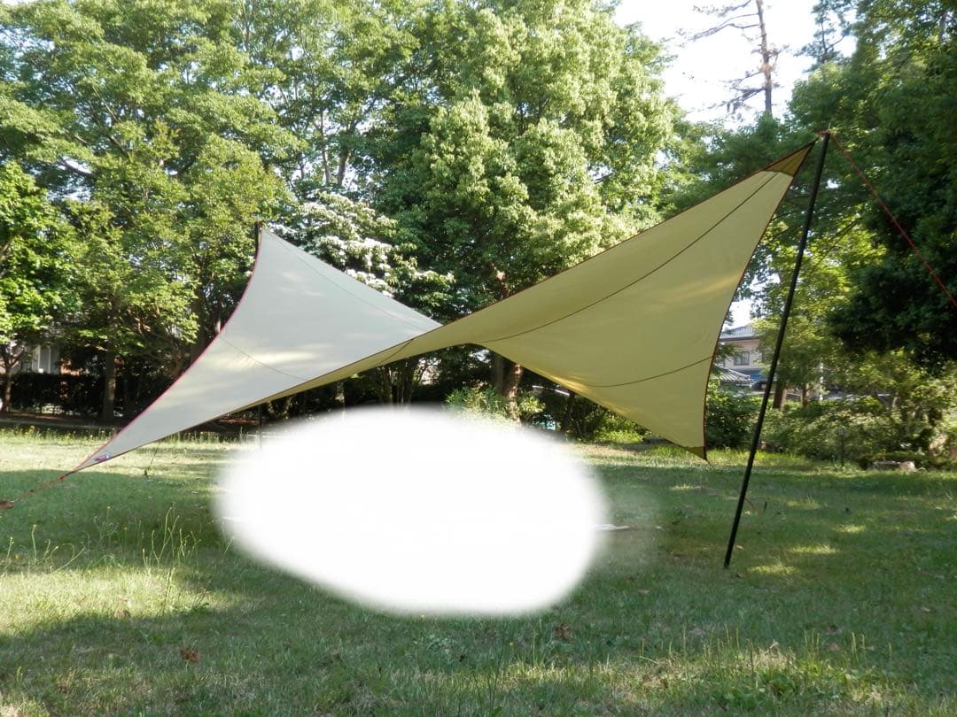 MOSS TENTS parawing 19 パラウィング　シアトル