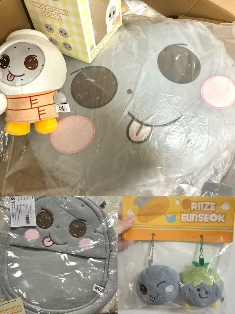 RIIZE ウンソク 中国限定