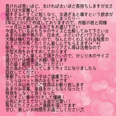 ☆179.犬用国産梨の木、枝、おもちゃ超小型犬向け？歯固め、かじり木、あまがみ