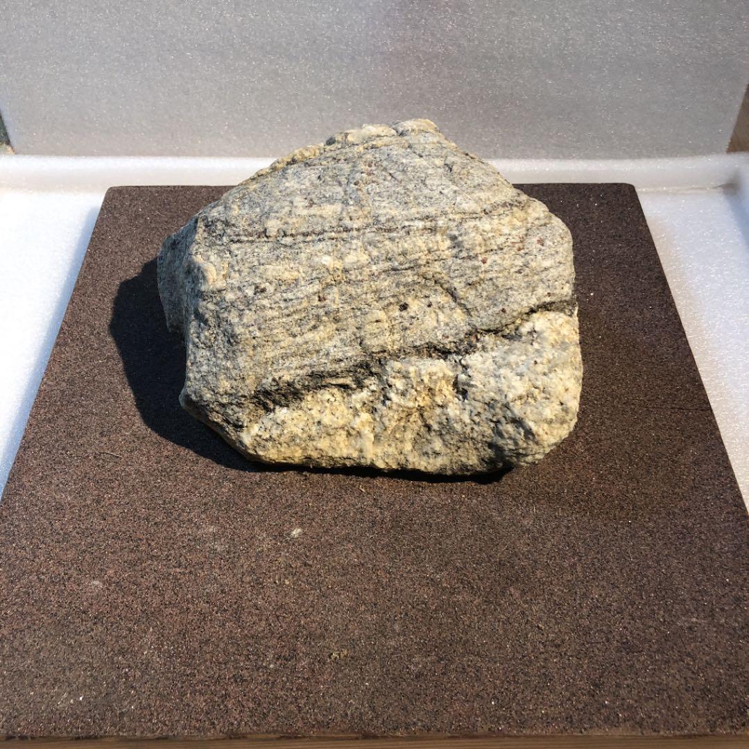 【激レア】南極の石 台座付き【美品】