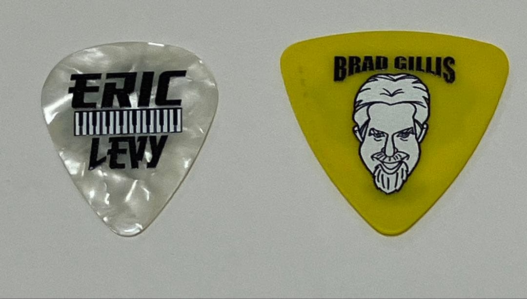 Night Ranger FAREWELL JAPAN 2025 ギターピック