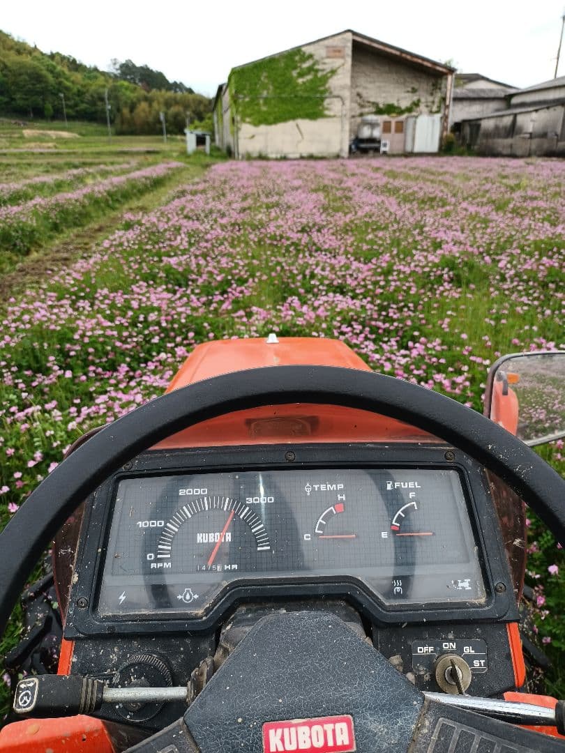 令和7年新米きぬむすめ玄米10キロ