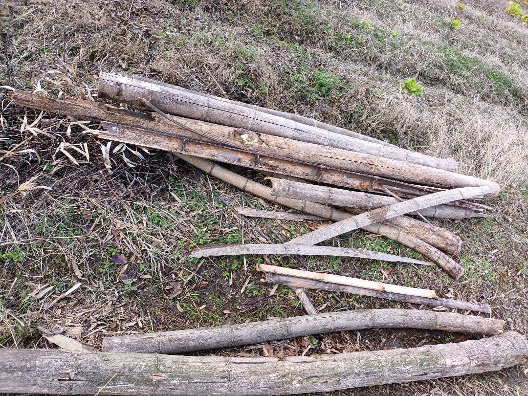 令和7年新米きぬむすめ玄米10キロ