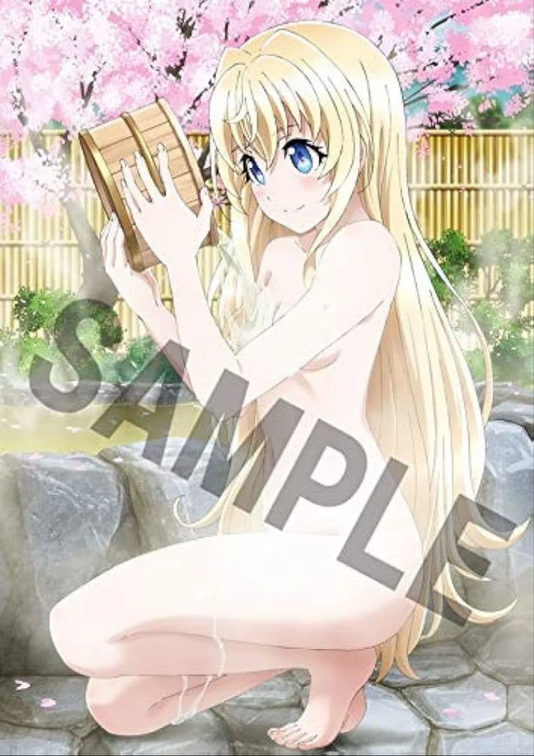 劇場版ゴブリンスレイヤー アニメイト購入特典 タペストリー（女神官）