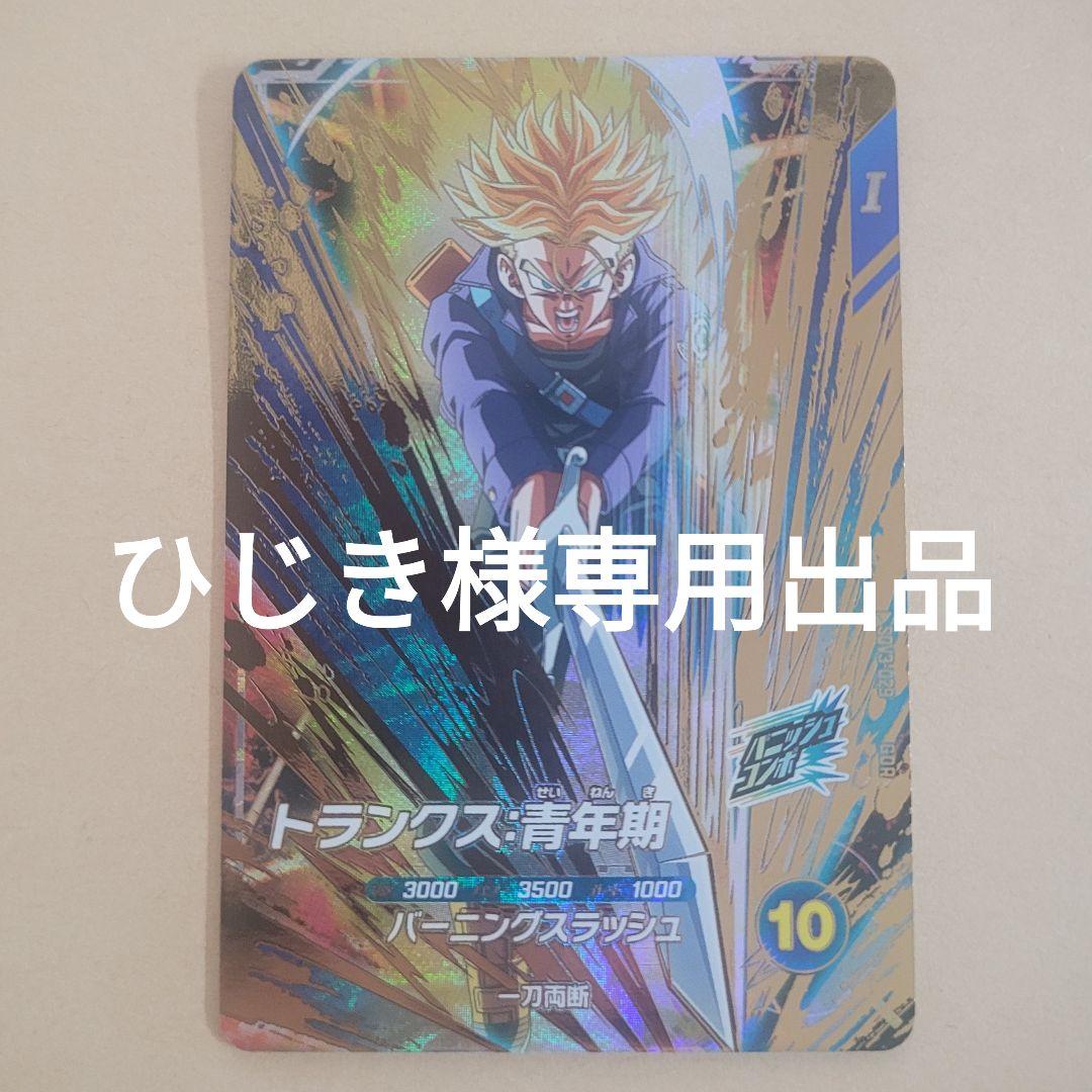 ひじき出品 SDV3-029 トランクス:青年期