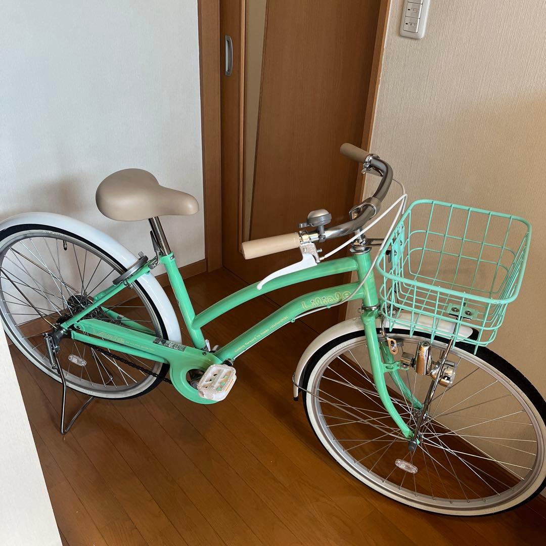 kiyoishikawaさま専用　愛知県！ヘル付