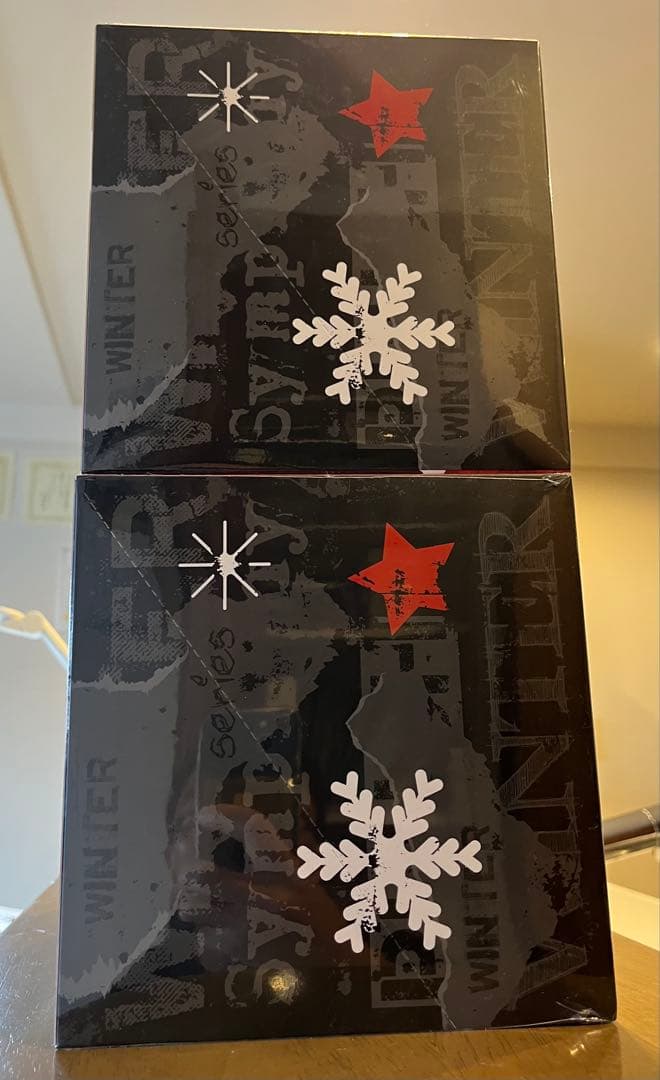 SKULLPANDA Winter Symphony ぬいぐるみ ２セット