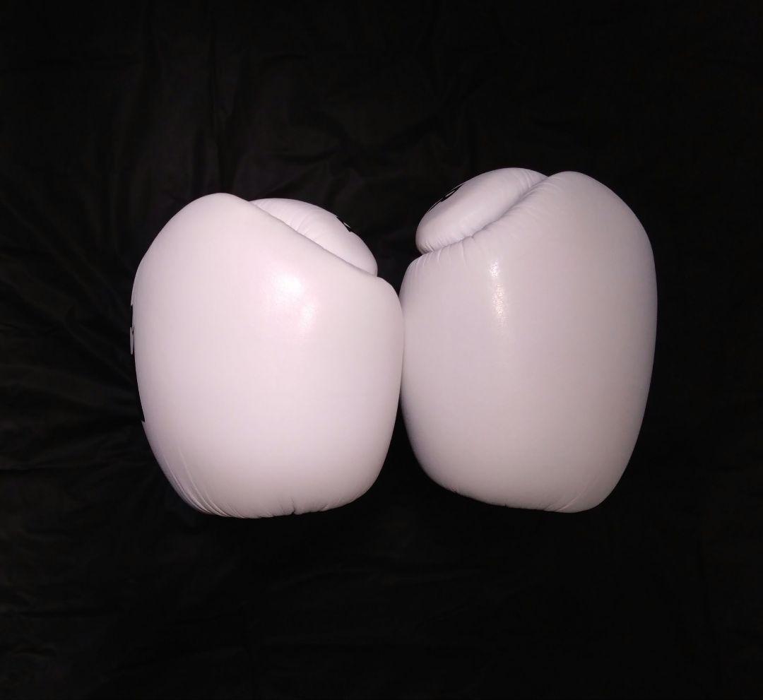 イサミ　BOXER　練習用グローブ　8oz