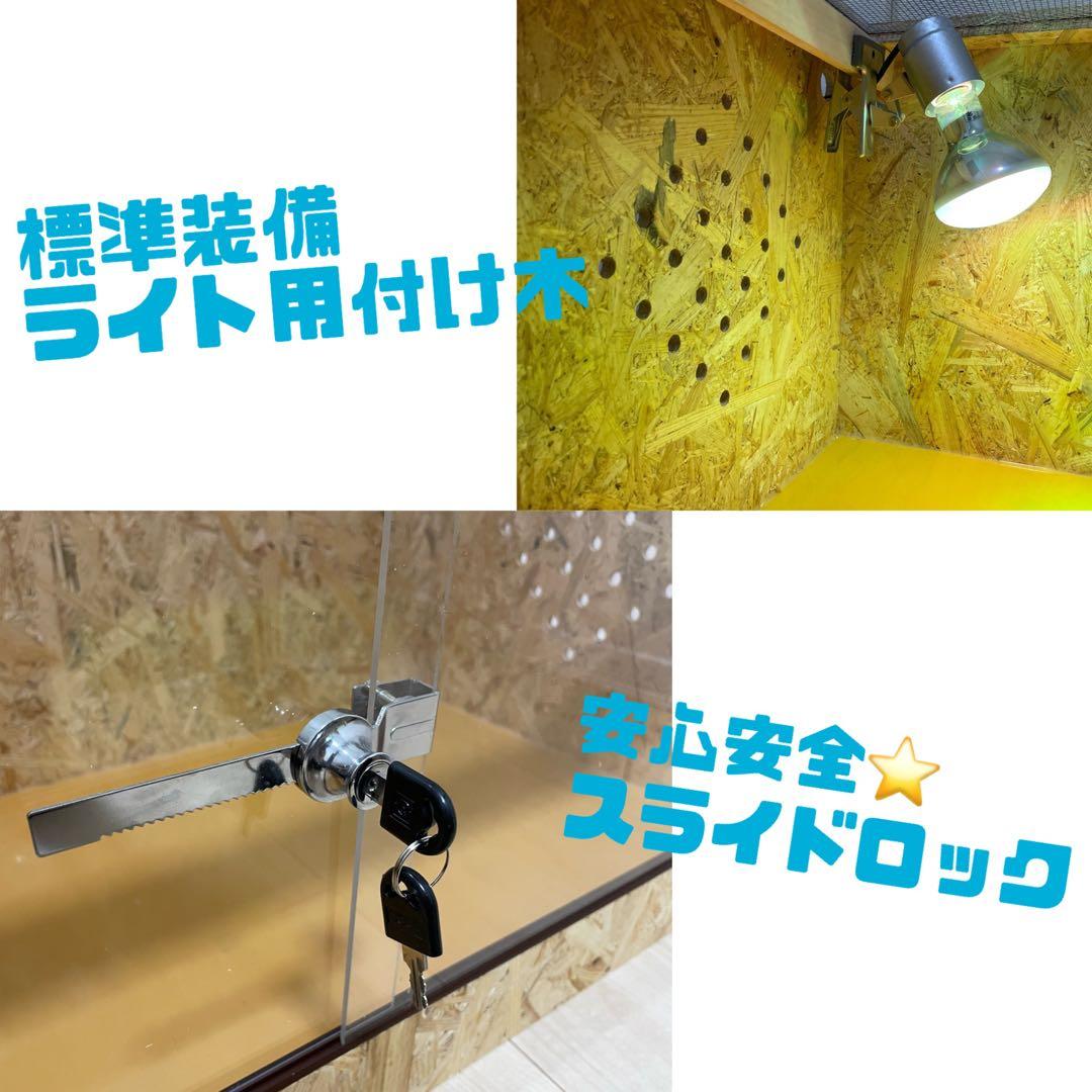 爬虫類ケージ　爬虫類飼育ゲージ　天井金網仕様　90ラック用サイズ