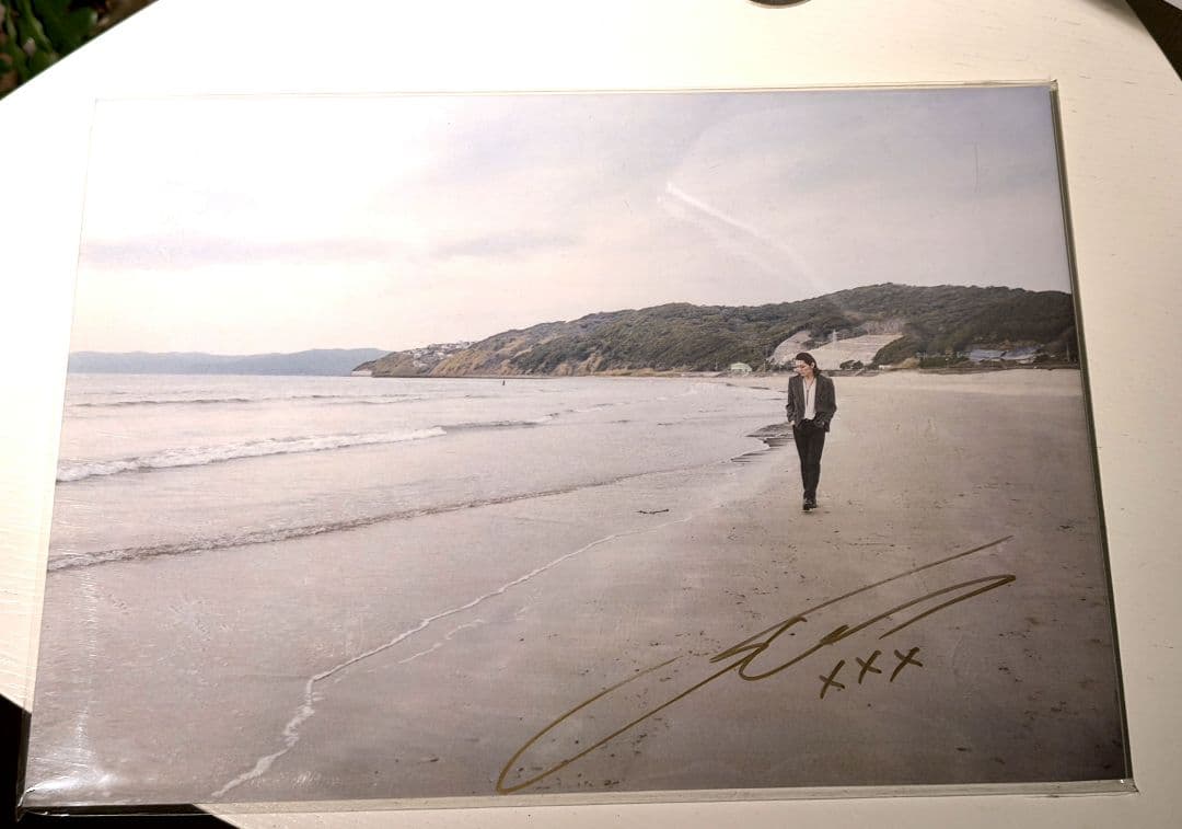 ドレスコーズ 志磨遼平 サイン入りパネル