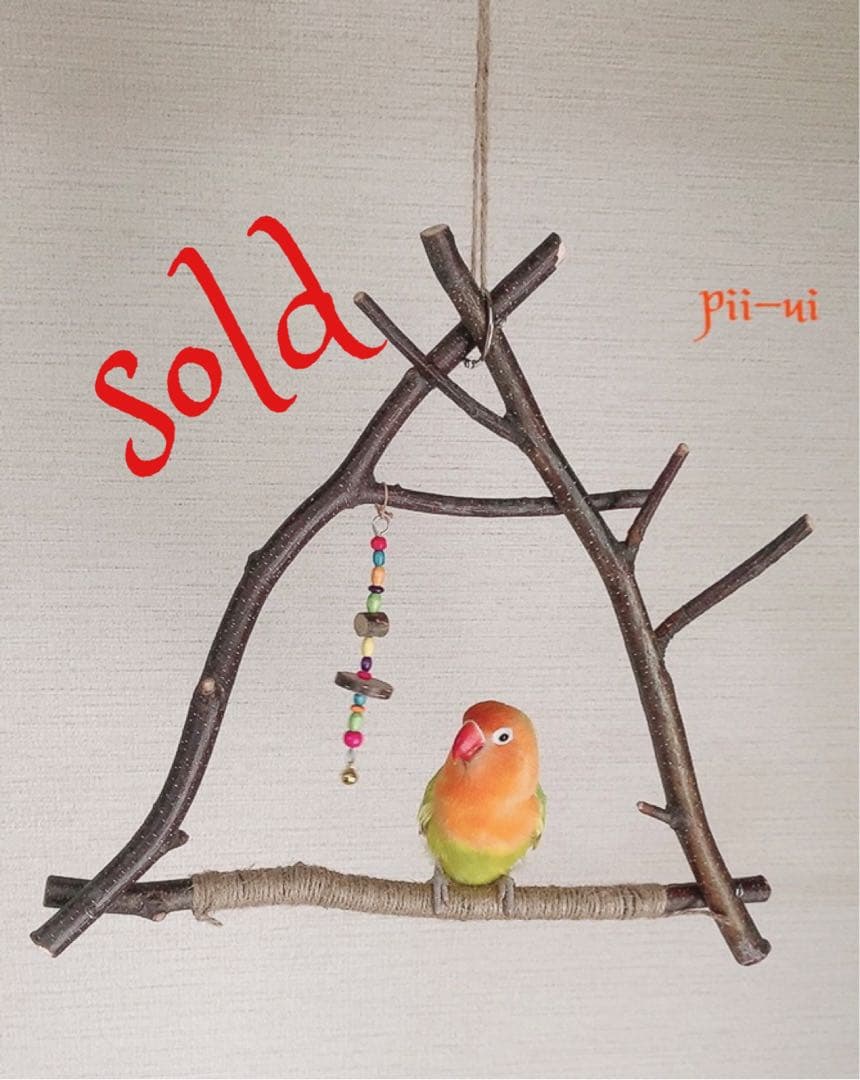 白樺小枝のブランコ♪