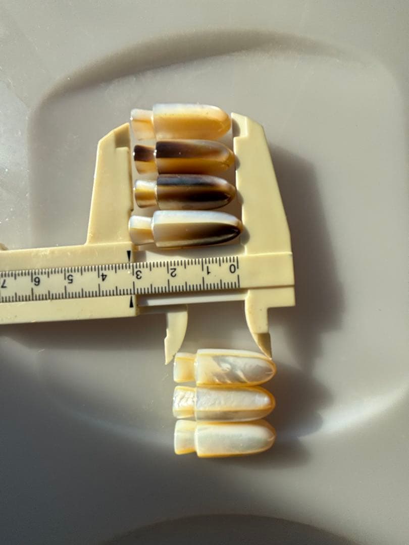 トローリングヘッド　天然貝