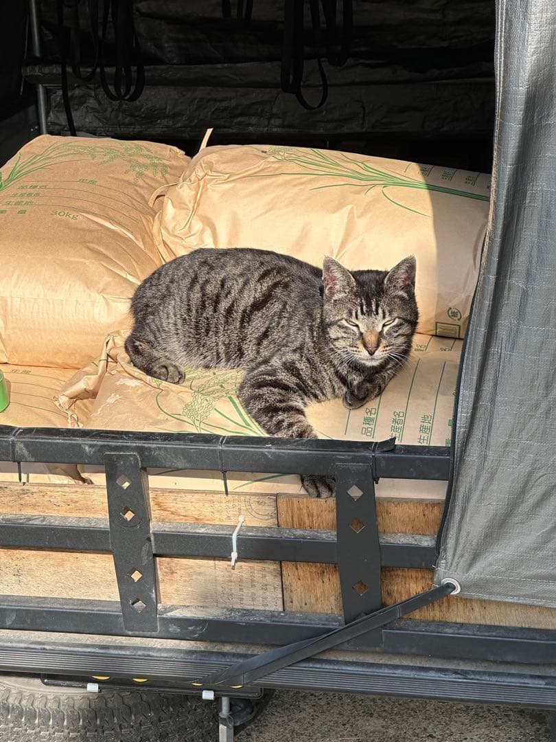  white9様用9kg➕5Kg 精米済み