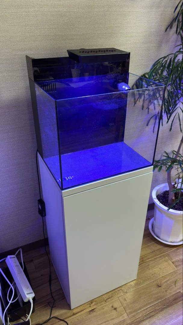 オルカ shell2 オールインワンシステム水槽