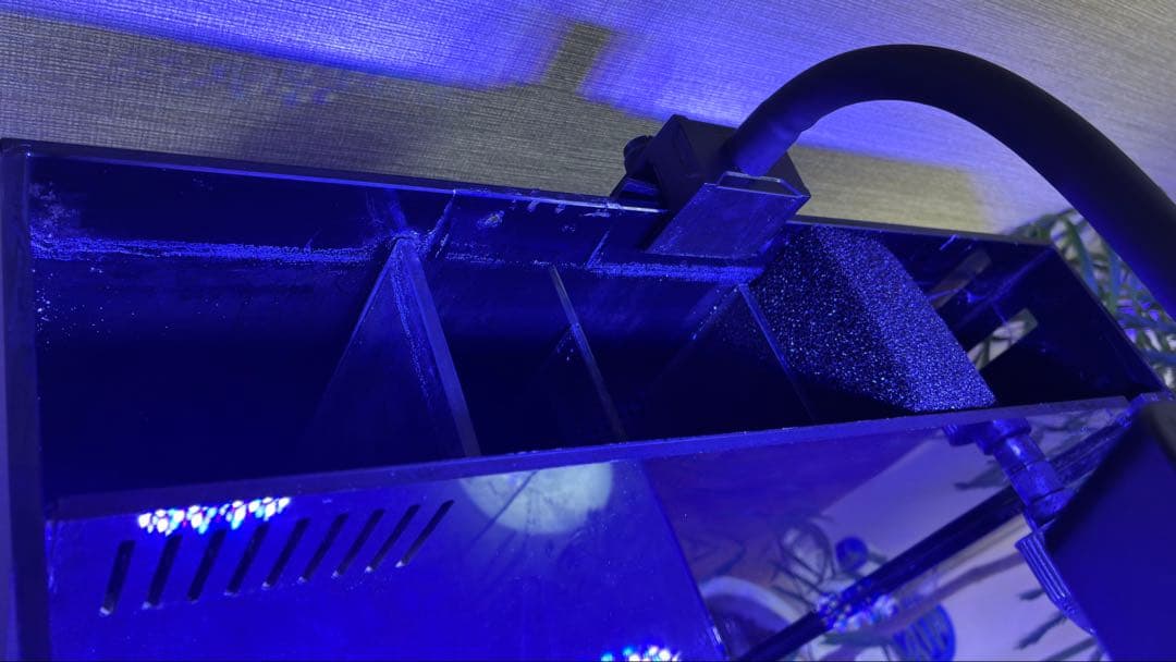 オルカ shell2 オールインワンシステム水槽