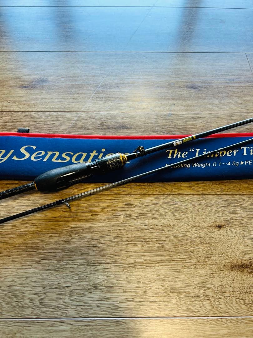 エバーグリーン　ソルティセンセーションPSSS-610リンバーティップ　アジング