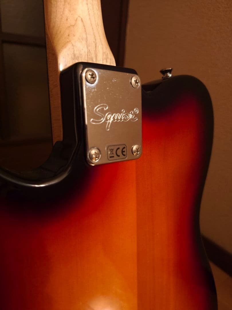 ☆綺麗です☆ Squier Telecaster （バリトンギター）low B