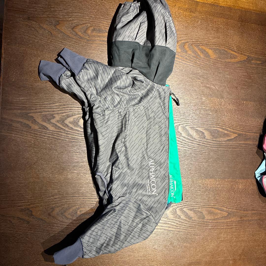 ALPHAICON ドックガードエア1L