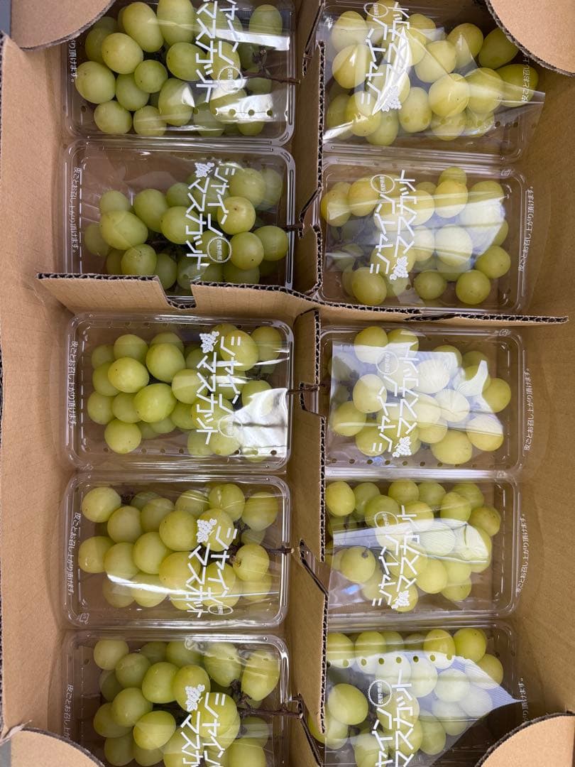 シャインマスカット 中10房