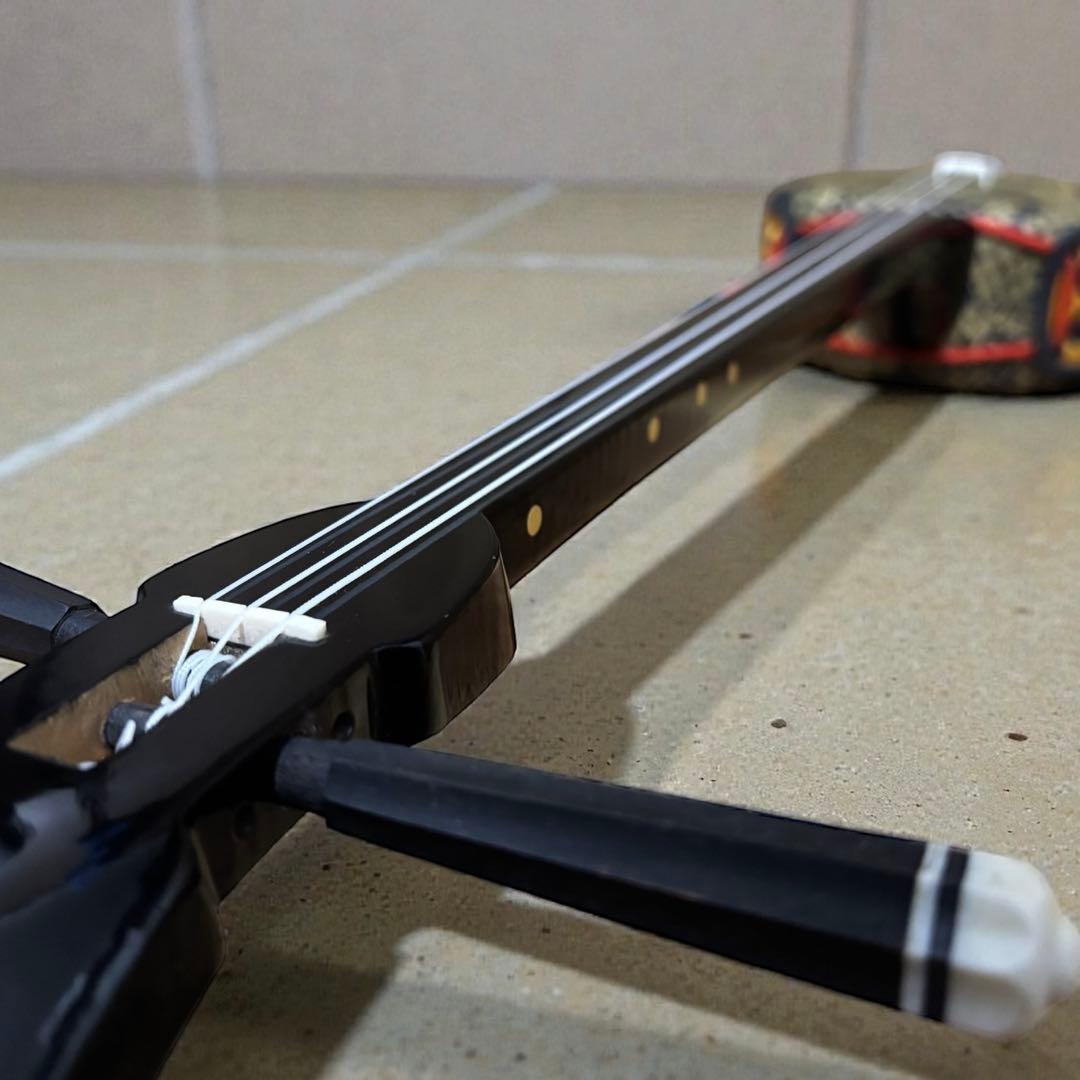 【動作確認済】沖縄三線 人工皮 蛇柄 本体のみ 美品 安定感◎