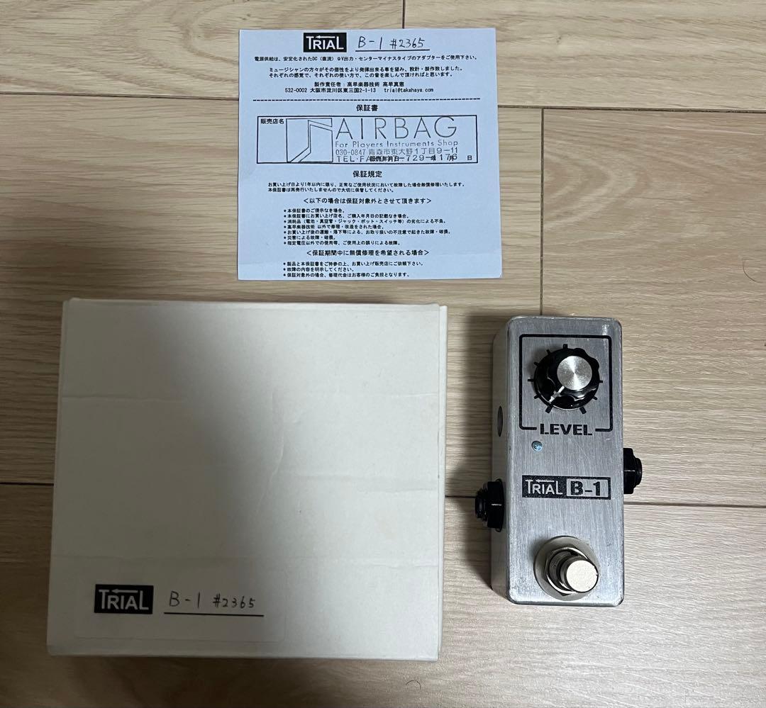 ギター TRIAL B-1