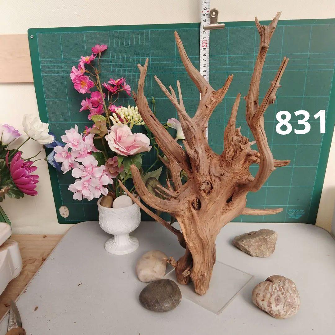８３１ホーンウッド灰汁抜き硬質水槽用流木 自然な枝状 約42cm964g